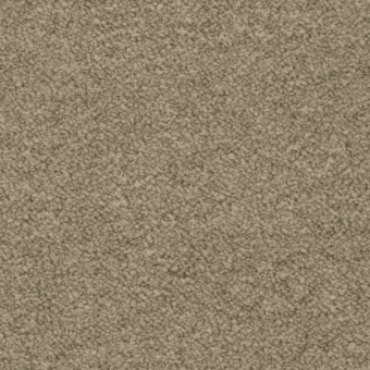 A8845 - Orsetto 05-10 beige - S