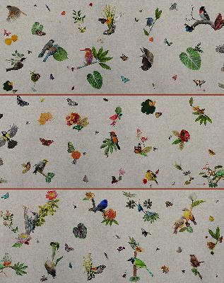 Moroso fabric swatch, beige cotton blend, repeating bird, butterfly, and floral pattern with red line separation.