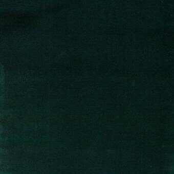 Green velvet fabric texture with a dense, short pile and subtle sheen; sample labeled “moroso regal e037 green.”
