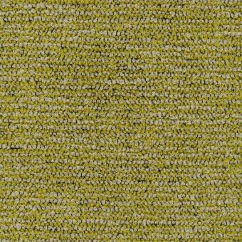 Olive-green fabric sample, textured weave with granular surface, horizontal striations, identified as Moroso Claud 833.019 cedar fabric.