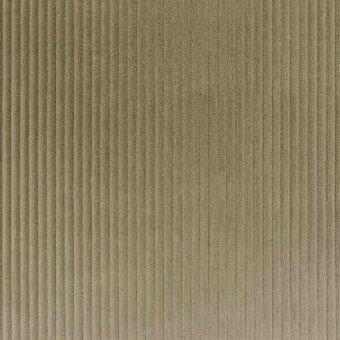 Corduroy fabric sample, lichen green color, featuring narrow vertical ribs and a soft, dense brushed texture with consistent pile height.