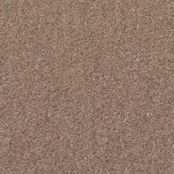 Moroso fabric sample, taupe Zanzibar textile, dense granular texture with visible fiber detail and product code a8537-zanzibar 7059.11.