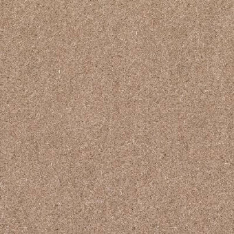 Beige granular texture, composed of fine particles, displaying subtle color variations and a matte, uniform surface with no repeating patterns.