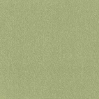 Moroso leather texture sample, light mint green, fine grain pattern with matte finish and subtle tonal variations.