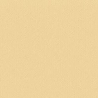 Beige textured surface with granular detail and a muted tone, displaying a uniform, subtly rough finish across the full frame.