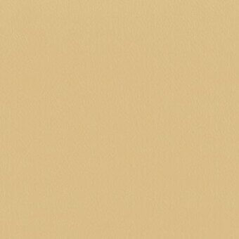 Moroso leather texture, sabbia sand stone color M06 B0144, granular matte finish, neutral earthy tone, diffused studio lighting.