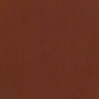 Rust leather texture with granular surface and tonal variations, displaying a warm brownish-red hue and natural grain throughout the composition.