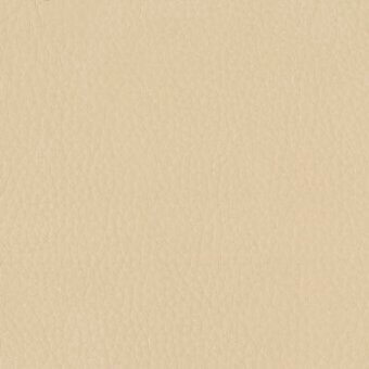 Light beige leather texture with subtle grain, matte finish, and tonal shifts; natural aniline or semi-aniline hide, Moroso leather (z) m05 b0231.