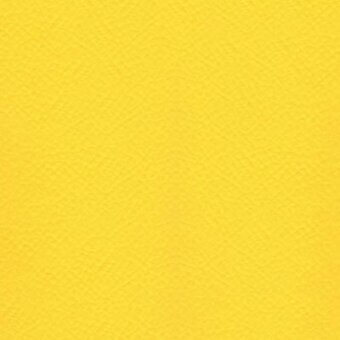 Yellow eco leather texture with a diagonal woven pattern, displaying brand text “pacini & cappellini” in the lower right corner.