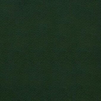 Dark green eco leather texture with a repeating diamond pattern, matte finish, and imprinted “pacini & cappellini” branding detail.
