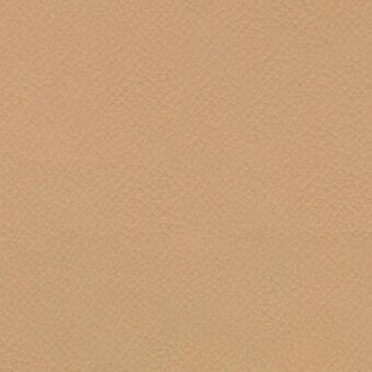 Eco leather texture, neutral tan color, fine grain pattern, matte finish, durable surface suitable for upholstery applications.