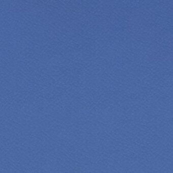 Blue eco leather texture with consistent grain, matte finish, and subtle “pacini & cappellini” branding with material details.