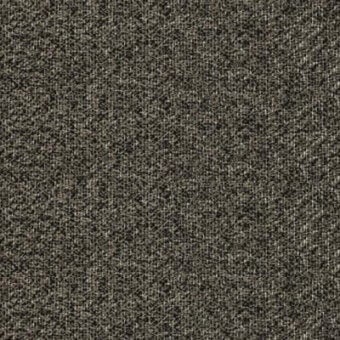 Charcoal gray fabric sample displaying a dense, heathered weave texture with subtle beige variations; matte finish, studio shot, labeled ‘pacini & cappellini’.