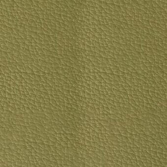 Olive-green leather texture, dense granular surface, consistent fine-grain pattern, smooth glossy finish, Pacini & Cappellini Alga 9050.