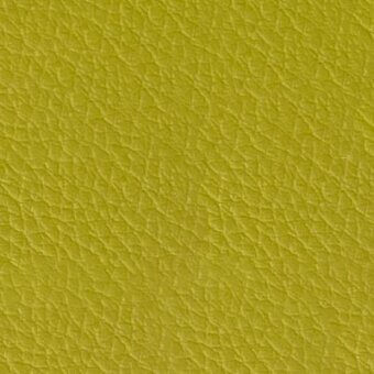 Yellow-green leather texture with granular grain, matte finish, and pebbled surface; displays “pacini & cappellini” branding.