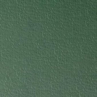 Pacini & Cappellini leather sample, dark green Assenzio 9055, exhibiting a dense, matte, bumpy texture suitable for upholstery applications.