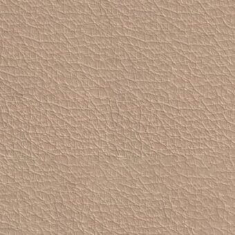 Leather texture sample, light beige with tonal variations, displaying a dense, irregular grain pattern and matte finish.