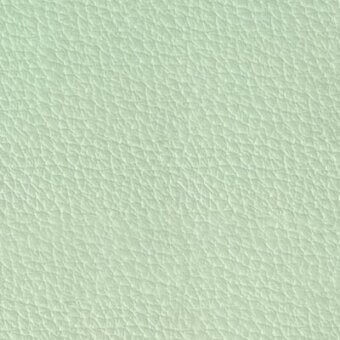 Pale mint green leather texture with fine grain, matte finish, and subtle mottled tone displaying a dense pore network.