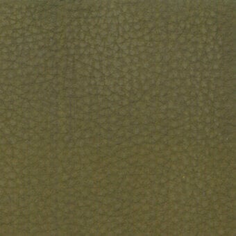 08-oliva