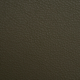 6439-olive