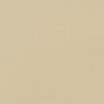 Beige textured surface with fine granular pattern, warm neutral tone, and diffused lighting emphasizing tactile quality and minimal tonal variation.