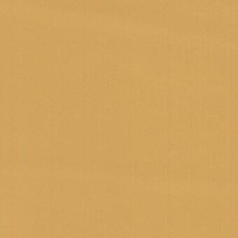 Warm tan textured surface with a granular matte finish, displaying subtle tonal variations and even lighting in a neutral composition.
