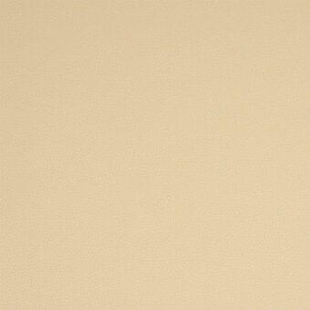 Paros eco leather swatch, muted beige, fine grain texture, matte finish, consistent color variation, durable material sample.
