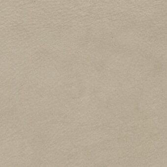 Light beige leather texture with a subtle grain and matte finish, presented as a uniform swatch with diffused, even lighting.