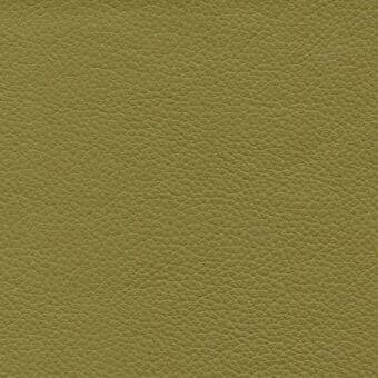 Olive-green leather texture sample, regular grain pattern, matte finish, dense pore network, identified as “d43” within the Porada leather collection.