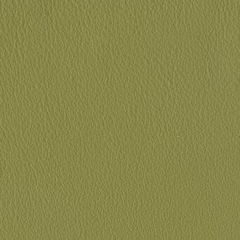 Galea leather Verde Muschio C4W texture displays a fine grain, matte finish in a muted earthy green, suitable for upholstery applications.