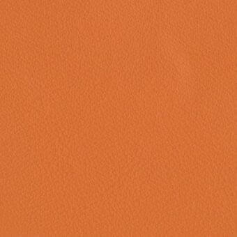 Potocco Galea leather texture, zucca orange color, fine granular surface with consistent grain and even studio lighting.