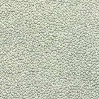 Pale green pebble-grain leather texture, Presotto panna 488, displays a dense, repeating bumpy pattern with a matte finish and subtle tonal variations.