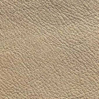 Light beige leather texture with natural grain, irregular bumps, and matte finish; Presotto “xt nhy02064” extra grade leather sample.