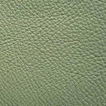 Sage green pebble grain leather texture, matte finish, thick hide with natural wrinkles, studio sample; presotto xt nhy18014.