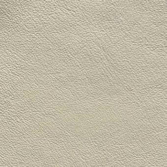 Beige leather texture sample, pebbled grain, matte finish, warm creamy white tone, consistent fine texture, natural imperfections visible.