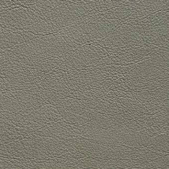 Presotto leather sample, gray-green, exhibiting a mottled texture with fine wrinkles and a matte finish, showcasing natural grain detail.