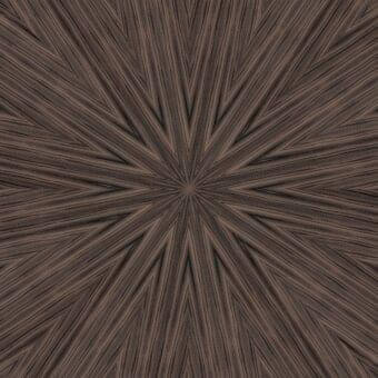 Radial brown graphic pattern with thin lines emanating from center, featuring text “reflex > glass > legnoreflex,” on a neutral background.