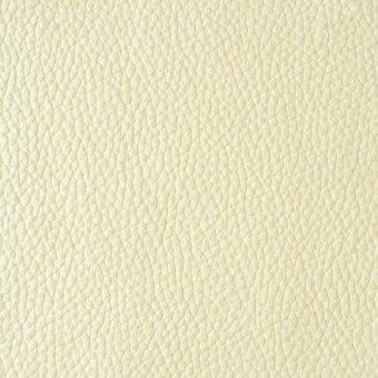 Cream leather texture sample, pebble-grain, matte finish, natural leather aesthetic, identified as “reflex > leather > naturale > n205 panna”.