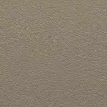 Matte sand-colored texture sample with granular surface, exhibiting a neutral beige tone and subtle gray undertones under diffused lighting.