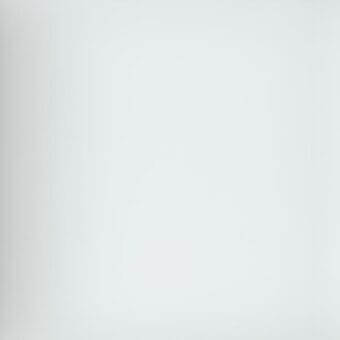 White gradient background, soft illumination, smooth surface, minimal texture, diffused lighting, clean and simple composition, tonal variation.