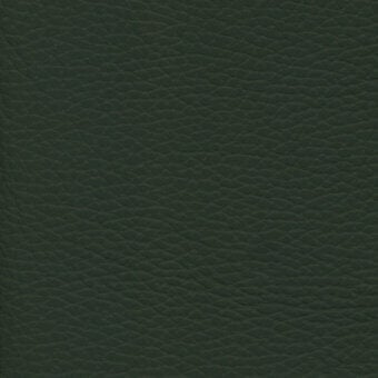 Dark green leather texture sample with pebble grain pattern, matte finish, and consistent color, studio shot against a neutral backdrop.
