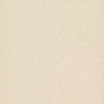 Off-white synthetic leather texture with a fine grain pattern, even lighting, and cleanly trimmed edges; material sample for reference.