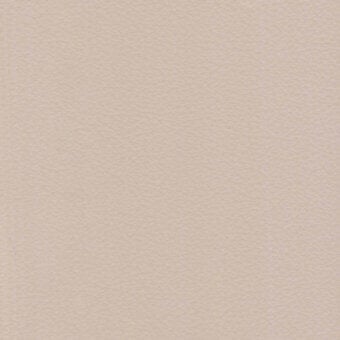 Neutral beige textured surface with granular pattern, even lighting, and consistent tone, resembling fine paper or fabric with a rough finish.