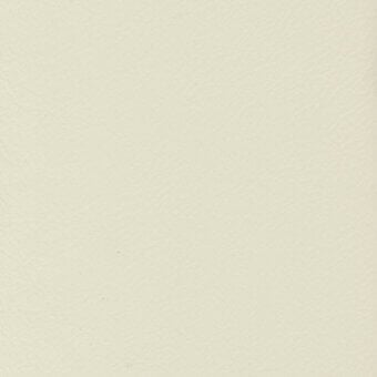Pale ivory leather texture sample, fine-grained matte surface, subtle tonal variations, natural grain, diffused lighting, small dark speck.