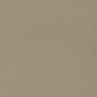 Muted taupe textured surface with granular detail and a matte finish, displaying subtle tonal variations under even, diffuse lighting.