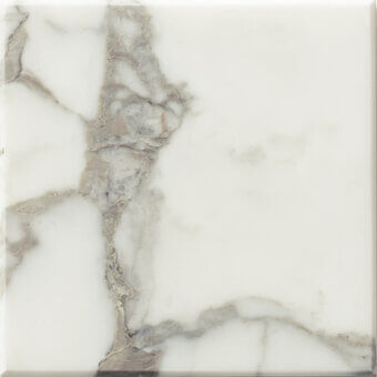 Marble tile sample, white statuario with grey and taupe veining, polished surface, squared edges, dark grey border, “turri” text label.