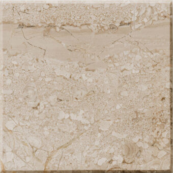 Breccia Sarda marble tile, beige with fossil inclusions, displaying a honed texture and network of fine cracks, framed by a dark border.