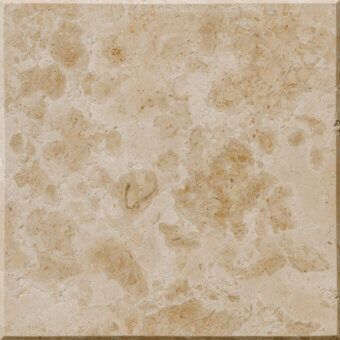 Giallo Istria marble texture sample, beige and tan stone with circular fossil inclusions, polished finish, minimal veining.