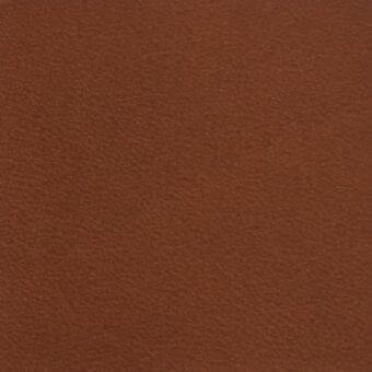 Warm brown granular texture resembling tanned leather, displaying a consistent earthy tone and diffused, even lighting with a slightly rough finish.