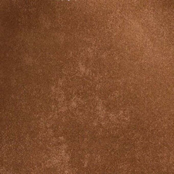 2422927 - NOCCIOLA